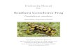 Southern Corroboree Frog - nswfmpa.org Manuals/Published Manuals/Amphibia… · Class Amphibia Order Anura Family Myobatrachidae Genus Pseudophryne Species corroboree 2.2 Subspecies