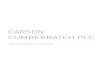 CARSON CUMBERBATCH PLC · 2020. 9. 14. · Chairman’s Statement pg 4 Sector Reviews pg 12 Sustainability Report pg 26 Risk Management pg 44 ... Capital expenditure 7,810,103 6,370,979