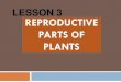 LESSON 3 REPRODUCTIVE PARTS OF PLANTS...OBJECTIVES: Identify and describe the reproductive parts of plants. Label the parts of a flower. Differentiate perfect from imperfect flower