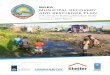 BEIRA - Dutchwatersector.com · 2019. 6. 17. · Beira Municipal Recovery And Resilience Plan • Volume 1 ... ‘Associação Comercial da Beira’, the Dutch knowledge institute