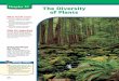 Chapter 22: The Diversity of Plants - glencoe.com · 2004. 12. 7. · Non-photosynthetic sporophytes, like those shown in Figure 22.2A,depend on their gametophytes for food. Gametophytes
