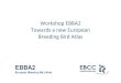 Workshop EBBA2 Towards a new European Breeding Bird Atlasbigfiles.birdlife.cz/ebcc/EBBA2/Report_by_V.Keller.pdfTowards a new European Breeding Bird Atlas EBBA2 Main activities and