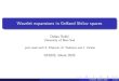 Wavelet expansions in Gelfand Shilov spacescage.ugent.be/gf2020/talks/Rakic-GF2020.pdf · 2020. 9. 10. · Wavelet expansions in Gelfand Shilov spaces Du san Raki c University of