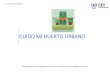 CUIDO MI HUERTO URBANO - ApnabiCUIDO MI HUERTO URBANO Author Amaia Fernandez Created Date 6/25/2020 1:10:39 PM 