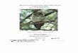 MEXICAN SPOTTED OWL RECOVERY PLAN, FIRST ......MEXICAN SPOTTED OWL RECOVERY PLAN, FIRST REVISON (Strix occidentalis lucida) Original Approval Date: October 16, 1995 Southwest Region