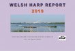 WELSH HARP CONSERVATION GROUP No. 26 April 2020Welsh Harp Report 2019 3 CONTENTS Map of the Reservoir Page 2 Contents Page 3 Chairman’s Report by Roy Beddard Page 4 Review of 2019