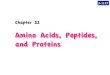 Amino Acids, Peptides, and Proteinsihara/seimei/c22-2015s.pdfChapter 22 Amino Acids, Peptides, and Proteins p.1127 p.1128 6 ; 7. pwtz &%) 1 p.1128 Amino acid Uri8 Peptide ondg Amino