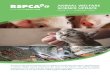 ANIMAL WELFARE SCIENCE UPDATE - RSPCA Australia · 2 RSPCA AUSTRALIA SCIENCE UPDATE ISSUE 71 ANUAR 2021 Use of videos on social media to uncover risk factors for feather-damaging