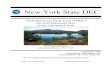 New York State DEC · 2021. 1. 11. · for Acid Impaired Lakes in the Adirondack Park Adirondack Region, New York September 2014 Developed in conformance with Section 303(d) of the