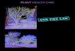 PLANT HEALTH CAREHEALTH CARE Trees and Neighbors 2020. 12. 1.آ  My neighbors complain that the tree