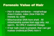 Anatomy of Hair - WordPress.com...Animal vs Human Hair The medulla is a string of dots in animal hair. humans frequently lack medulla Pigment in animal hair tend to clump, human hair
