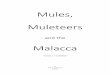 Mules Muleteers and the Malacca - The Rescue of Farina...The barque Malacca of note to this story was built in 1842 by Green, Wigram’s and Green. It was a wooden, two deck, three