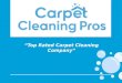 Professional and Ideal carpet cleaning service