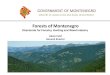 GOVERNMENT OF MONTENEGROSector of Montenegro Ministry of Agriculture and Rural Development Directorate for Forestry Directorate for Forestry, Hunting and Wood industry Directorate