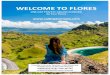 SAILING KOMODO ONEDAY TOUR PRIVATE - Your Flores€¦ · WELCOME!TO!FLORES! ONE!DAY!PRIVATE!SAILING!KOMODO! by!Your!Flores!! !! FriendlyCustomerServices:!Call/Whatsapp! +6282210111198withNatalia!