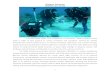 Going to Extremes NEEMO Case Study · 2020. 11. 24. · Going to Extremes NEEMO Case Study . 4 . In his free time, Todd continued to pursue his undersea interest. Carpenter introduced