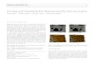Curling and Clumping Fur Represented by Texture Layersbandy/fur/CGI10fur.pdf · 2013. 2. 10. · E-mail: yosuke1.bando@toshiba.co.jp Bing-Yu Chen National Taiwan University E-mail: