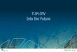 TUFLOW Into the Future · consulting deadlines Greater resourcing directed to market research and marketing Focus on developing technical “geeky” tools unchanged –that’s what