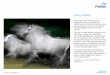 Story Starter€¦ · The herd of wild horses moved as one: a frothing, raging river cascading across the countryside. They reminded her of a waterfall she had visited with her parents