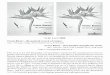 H. W. Lack ;ranz Bauerverlag.nhm-wien.ac.at/pdfs/110B_212212.pdfH.W. Lack 2008 Franz Bauer - the painted record of nature, 190 x 270 mm, 130 pp., 978-3-902421-30-2, EUR 38,50 Franz