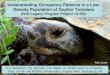 Understanding Occupancy Patterns in a Low- Density Population of Gopher Tortoises · 2020. 6. 26. · Understanding Occupancy Patterns in a Low-Density Population of Gopher Tortoises