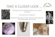 TAKE A CLOSER LOOK · 2020. 8. 16. · TAKE A CLOSER LOOK … Answers: Knitting wool Corrugated cardboard £10 note bread Letters on credit card Safety catch on a badge/brooch leaf