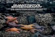 The Oceanography Society | The Oceanography Society ...By Peter T. Raimondi, C. Melissa Miner, Bruce A. Menge, Carol A. Blanchette, and David P. Lohse Oceanography Oceanograph 27|