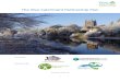 The Wye Catchment Partnership Plan · 2020. 4. 1. · Wye stretches for over 200 kilometres from its source at Plynlimon in mid-Wales to the ... Lugg Meadows SSSI, nationally important
