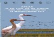 of key sites for the siberiAn CrAne And other wAterbirds ......Durnaly Jumamurad Saparmuradov & Eldar Rustamov..... Afghanistan ... But all is not doom and gloom. Through protection