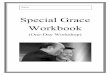 Special Grace Workbook - True Lovetruelove.org/ucbooks/SG-Workbook-DRAFT.pdf · 2017. 5. 9. · Each of four sessions can begin with a song and a representative prayer. A. Read the
