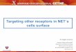 Targeting other receptors in NET´s cells surface · 2014. 11. 13. · A Lamarca et al, in press . The Christie NHS Foundation Trust Targeting the NET cel X Symposium GETNE Madrid,