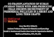 Co-Transplantation of Human Ovarian Tissue with AMH …cme-utilities.com/mailshotcme/Material for Websites/ISFP... · 2017. 11. 28. · -Durlinger AL, Kramer P, Karels B, de Jong