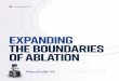 EXPANDING THE BOUNDARIES OF ABLATION ......Unlike thermal modalities, zones of IRE ablation are not deformed or decreased by proximity to blood vessels. THE BENEFITS OF THE NANOKNIFE