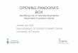 OPENING PANDORA’S BOX - University of Pretoria 2019... · 2019. 3. 21. · “Pandora's box had been opened and monsters had come out. But there had been something hidden at the