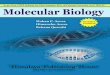 Molecular BiologyUnit-8: Molecular Techniques 3 PCR, Western and Southern blot, Northern blot. Molecular Biology Lab ZOOA-CC-1-2-P Full Marks: 30 2 Credits 60 Hours List of Practicals