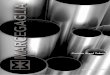 Carbon Steel Tubes - Marcegaglia · we give shape to steel Marcegaglia is the leading industrial group worldwide in the steel processing sector, with a yearly output of 5 million