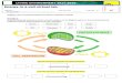 Allegany-Limestone Central School / Homepage · Web viewto show the biochemical pathways between photosynthesis and cell respiration. CO2 ATP Sunlight Glucose Mitochondria Water Oxygen