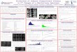 Estimation of Adipose Compartment Volumes in CT Images of a …web.cs.ucla.edu/~aimran/spie2016_estimation_poster.pdf · 2018. 10. 3. · Bakic, P. R. and Pokrajac, D. D., “Spatial