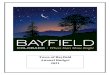 Bayfield Budget 2021...of the Town of Bayfield. This 2021 budget for the Town of Bayfield was prepared, and is a balanced budget , in accordance with State budget laws, C.R.S. 29101