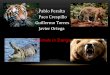 Pablo Peralta Paco Crespillo Guillermo Torres Javier Ortega · 2016. 9. 12. · Pablo Peralta Paco Crespillo Guillermo Torres Javier Ortega Animals in Danger • Tiger is one of the