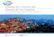 New Oases for marine life Oasis de vie marine · 2018. 9. 5. · INTERNATIONAL UNION FOR CONSERVATION OF NATURE Oases for marine life Oasis de vie marine State of knowledge on seamounts