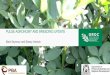 PULSE AGRONOMY AND BREEDING UPDATE · •Taller varieties on their way •More breeding and variety testing in WA from 2020 •More herbicide options available •Aggressive ascochyta