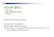 New HEMIPTERA - RESIN ENCAPSULATION · 2019. 11. 21. · Suborder: HETEROPTERA True bugs Subordinal Characteristics: (1) sucking mouthparts (2) d l t h i(2) gradual metamorphosis