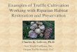 Examples of Truffle Cultivation Working with Riparian ......• Oregon Truffle Festival – Truffle Growers’ Forum – Truffle Dog Training Seminars – • Taming The Truffle by