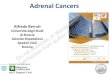 Adrenal Cancers - OncologyPRO...Berruti et al ESMO guidelines, Ann Oncol Suppl 7:vii131-8, 2012 Fassnacht et al ESE Guidelines Eur J Endocrinol. 179(4): G1-G46, 2018 Do not duplicate