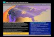 SOLAR ECLIPSE VIEWING GUIDE: August 21, 2017...2017/08/21  · SOLAR ECLIPSE VIEWING GUIDE: August 21, 2017 A Once-in-a-Lifetime Celestial Event! On Monday, August 21, the United States