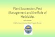 Plant Succession, Pest Management and the Role of Herbicides · 1. Viable Leafy Spurge was present in the ecosystem. 2. Grazing pressure resulted in reduced performance of grasses