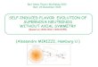 SELF-INDUCED FLAVOR EVOLUTION OF SUPERNOVA NEUTRINOS WITHOUT AXIAL SYMMETRYnicotri/Bari_Xmas_Theory_Workshop_2013/... · 2013. 12. 12. · SZA n n Hamiltonian q( ) 2 1 cosr G n F