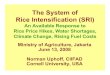 The System of Rice Intensification (SRI)sri.ciifad.cornell.edu/countries/indonesia/indoNTUppt061308.pdf · DIRECT SEEDING is becoming an option] 2. Avoid trauma to the roots--transplant