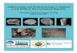 Paleoecology and Sedimentology of Ancient Coral Reefs in ...1 Paleoecología y Sedimentología de Arrecifes Coralinos Fosiles en la República Dominicana Paleoecology and Sedimentology